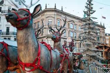 Passeio privado guiado de Natal em Copenhague
